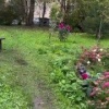 В одном из дворов Петербурга заметили милый кошкин дом 🇷🇺 Источник: ЧП ПИТЕР