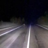 Медведь выбежал на дорогу рядом с Курагино