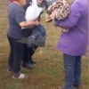 Пенсионерка 4 дня блуждала по тайге и выжила, питаясь клюквой.