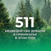 Ещё четыре медведя добыты в Иркутской области за сутки За минувшие сутки...