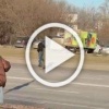 Около станции метро Кантемировская заметили бесстрашного...