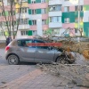 Дерево упало на машину на улице Некрасова в Белгороде.