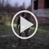 ❗️Красивое