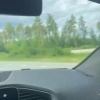 На Серовском тракте водители негодуют из-за штрафов за превышение скорости...
