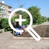 В Ачинске высаживают цветы на городские клумбы Первым...