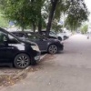 Парень показал тот самый дорожный знак, о котором никогда не расскажут в...