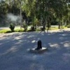 Статуя почтальона сегодня пропала из сквера в Ачинске От железной женщины...