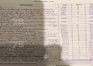 Петербуржцам выставили счёт на 65 тысяч рублей за домашний осмотр кошки