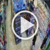 В Краснодаре цыгане внаглую обнесли зоомагазин 