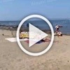 Вчера в Потрошиловском бору водитель на Прадо гонял по...
