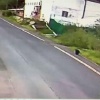 Медвежонок часто заходит в северный поселок Тура. Жители волнуются 🌇...