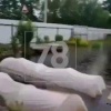 Жители Вырицы сообщают о масштабном подтоплении: дворы затоплены до уровня...