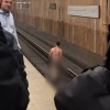 Голый мужчина выбежал на рельсы на станции «Царицыно» и нарушил движение поездов