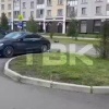 Лошадь разгуливает по Советскому району