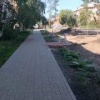 Власти Канска позаботились об интровертах и сделали аллею одиночества.