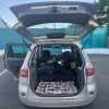 В Республике Тыва должностные лица учреждения культуры предстанут перед судом за получение взятки в крупном размере с вымогательством и посредничество во взяточничестве