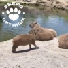 Сегодня отмечается День блаженства. Осторожно! Видео заряжено на скорый...