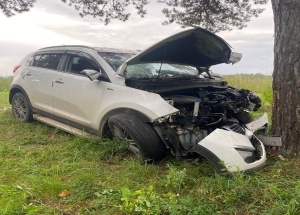 В Красноярском крае иномарка в лесу влетела в дерево: два человека погибли....