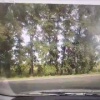 Девушка на иномарке сбила дорожного рабочего в Шушенском районе