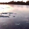 В озере на Юго-Западном заметили неизвестные отходы, от которых вода...