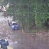 Владелец Subaru Impreza перепарковал свою тачку буквально за минуту до падения огромного дерева.