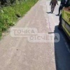 Медведь разорвал двух человек на Сахалине: экстренные службы ведут охоту
