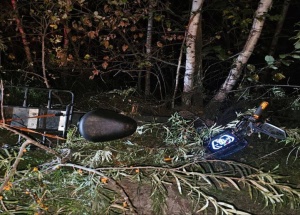 Еще одна жертва нападения медведя в Красноярском крае? Под Ачинском на дороге...