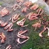 Два ачинца загремели под статью УК за планы сдать в металлолом снятые с...