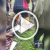 Спасателям пришлось откапывать новосибирца, упавшего в...