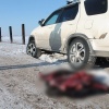 Браконьеры в Приангарье получили наказание за убийство косули В Приангарье...