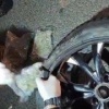 Житель Чебоксар спрятал наркотики в запасном колесе автомобиля. На Пулковском...