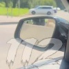 В Красноярске голый мужчина прогуливается по Ярыгинской набережной. Мужчина...