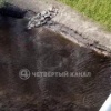 В Екатеринбурге 11-летний мальчик получил ожоги кипятком, пытаясь достать мяч из реки