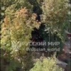 Драка из-за траншеи в Москве: 30 мигрантов сцепились на стройке и устроили замес