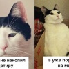Самое дорогое место на московском кладбище стоит 14,5 млн рублей. Участок на...