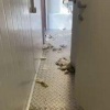 Мэр города Железногорск Курская область показал, как выглядит новый женский...