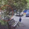В Подмосковье мужчина вырастил дома почти 400 кустов...