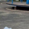 Крысы свободно гуляют во дворе на Взлетной, 38