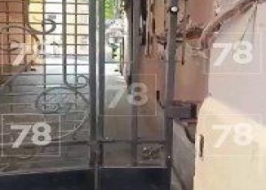 В Санкт-Петербурге 7-летнему мальчику голову зажало автоматическими воротами,...