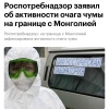 Вспышка чумы произошла на границе России и Монголии — Роспотребнадзор зафиксировал активность очага болезни.