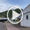 В окрестностях Красноярска заметили медведей