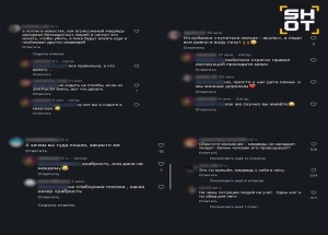Привлекать к ответственности тех, кто подкармливает медведей, требуют в соцсетях