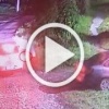 Новокузнечанка инсценировала ограбление, чтобы избежать ссоры с мужем