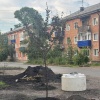 На аллее Юбилейная засыхают деревья и цветы, которые были высажены совсем...