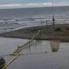 Жители Сахалина шокированы перекрытием всех нерестовых рек, куда из моря...
