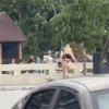 В Новочеркасске мигрант посреди города трахнул студентку Студентка местного...
