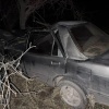 Автоледи врезалась в лошадь, пострадали водитель и подросток ДТП произошло...