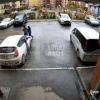 Парочка бросила маленьких котят в Иркутске. Неизвестные оставили крох в...