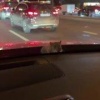 Лол, в Москве крыса вылезла из-под капота машины прямо во время движения.