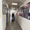 В Мытищах пенсионерку и её дочь доставили в полицию после конфликта из-за спила берёзы — женщина утверждает, что мать тащили за ногу по коридору.
